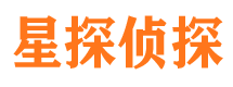 宛城市调查公司